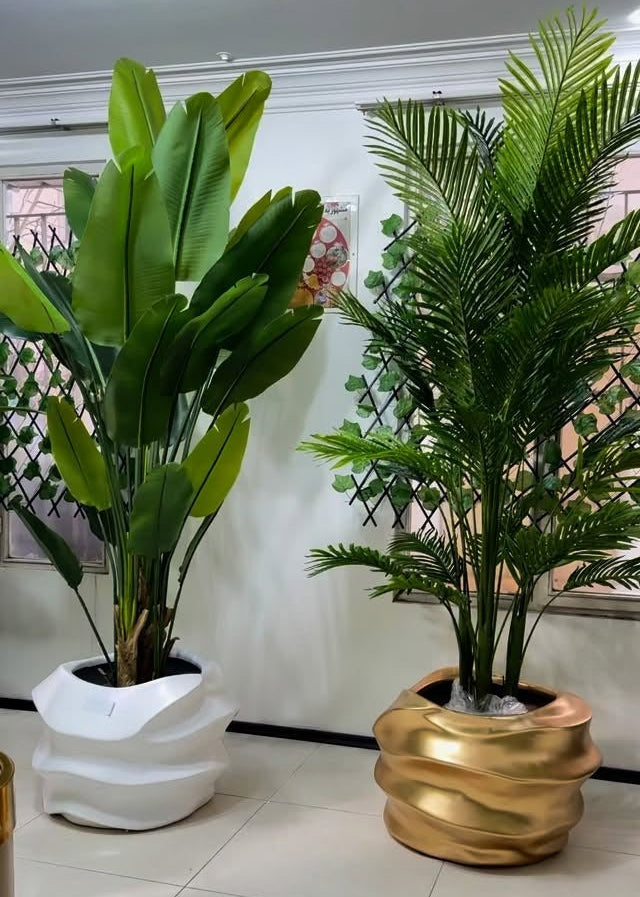 Kit Palmeira e Bananeira