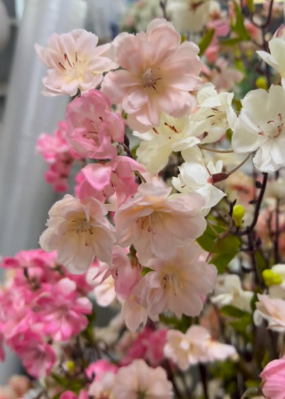 Ramo de Flor de Cerejeira Rosa