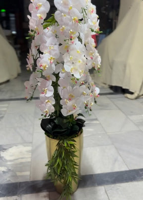 Arranjo de Orquídea