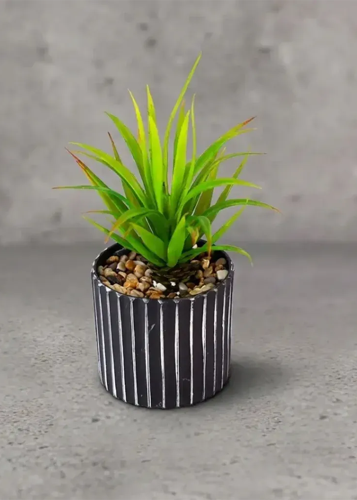 Coral Aloe Slim LG com Pote