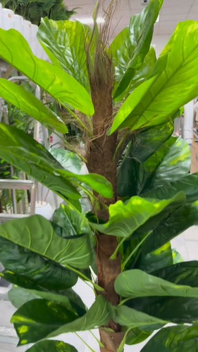 Árvore artificial de Dracena