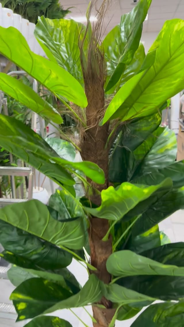 Árvore artificial de Dracena