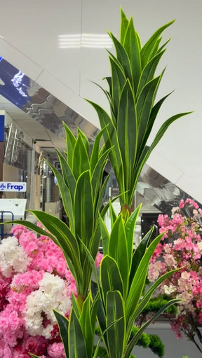 Árvore artificial Dracaena Warneckei