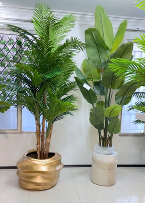 Kit Palmeira e Bananeira