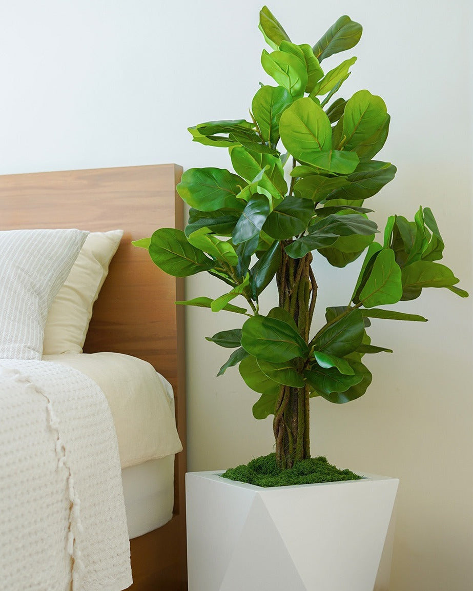 Ficus Lyrata artificial