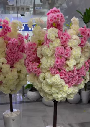 Conjunto flores de cerejeira brancas e rosa