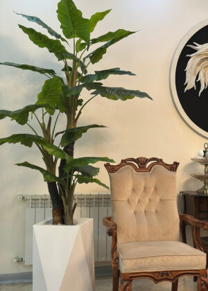 Planta artificial Alocasia