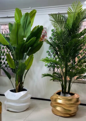 Kit Palmeira e Bananeira