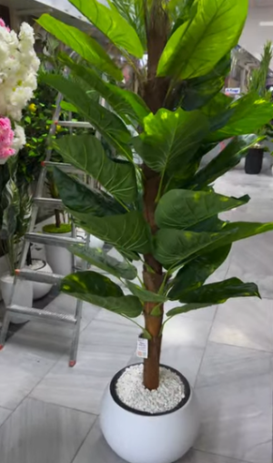 Árvore artificial de Dracena